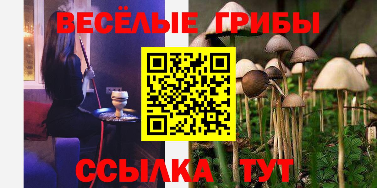 Галлюциногенные грибы ЛСД  Вход с VPN  Псилоцибиновые грибы GOLDEN TEACHER  Шелехов 